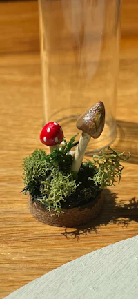 a small mushroom sits on top of a glass of water
